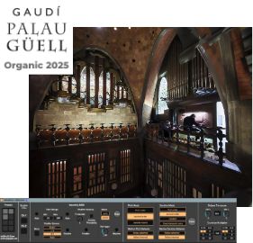 Palau Güell Live Show — Nov 2024